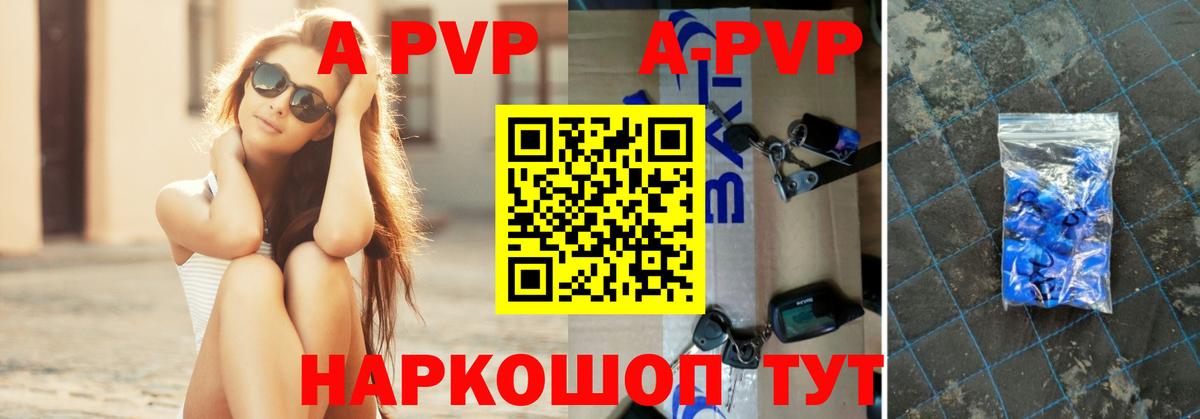 APVP СК КРИС Гай