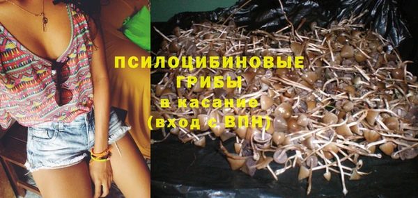 кокаин Богданович