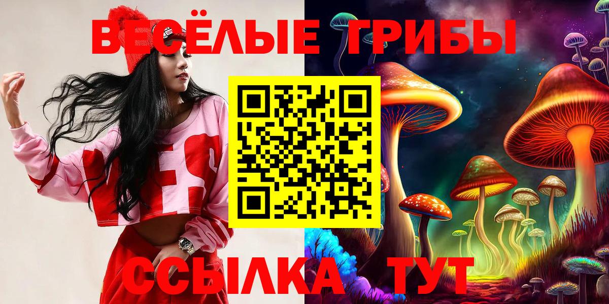 Псилоцибиновые грибы прущие грибы Гай