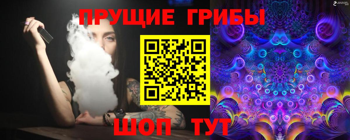 Псилоцибиновые грибы Psilocybe  Вход с VPN  Гай 