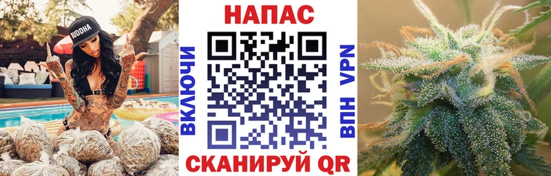 Бошки марихуана White Widow  Гай 